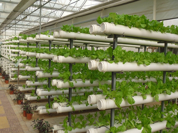 Hydroponic Chiller